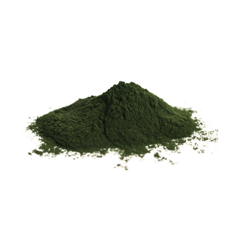 Chlorella-Pulver 10 kg - Tola