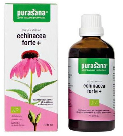 Echinacea forte (jeżówka purpurowa) krople BIO 100 ml